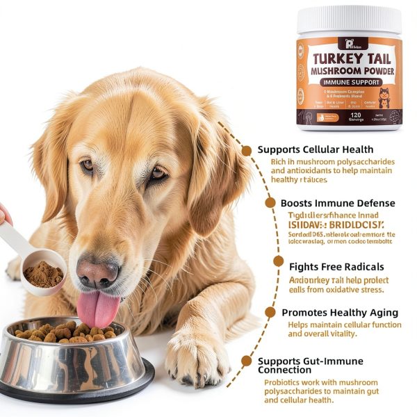 Petrivium Dog Cat Immune Support Mushroom Powder Probiotics-5