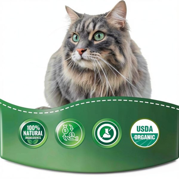 Milk Thistle Liquid Supplement for Cats and Dogs by-7