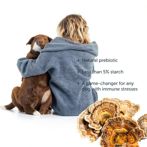 Four Leaf Rover Turkey Tail Mushroom Dog Immune Supplement-3