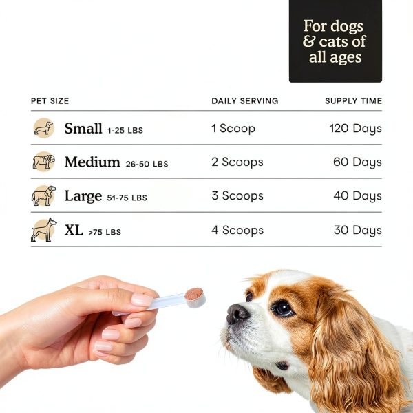 Fera Pet Organics Mushroom Supplement Powder for Dogs Cats-4
