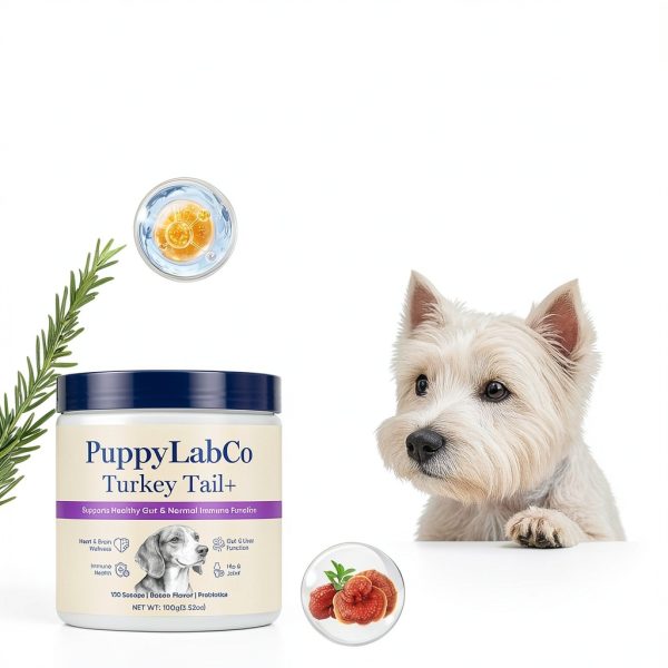 TOGOLIUN Turkey Tail Mushroom Dog Supplement Probiotics-1