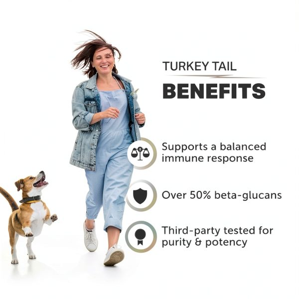 Four Leaf Rover Turkey Tail Mushroom Dog Immune Supplement-2