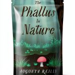 Absurdist Fiction Kindle eBook Rhapsodic Press Humorous 345 Page Novel-0